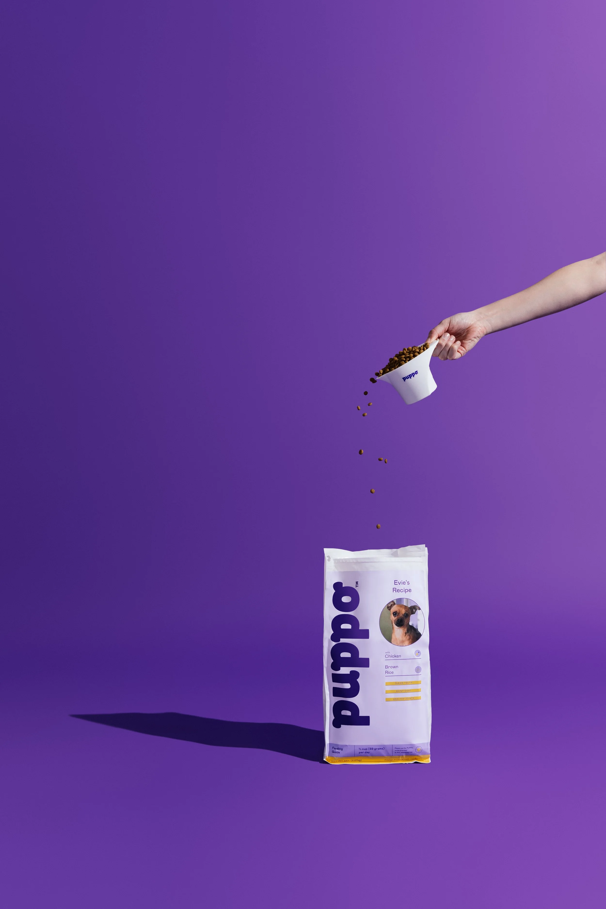 shot nine- solo bag-0008_1.jpeg