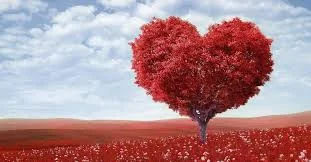 God's Love.jpg