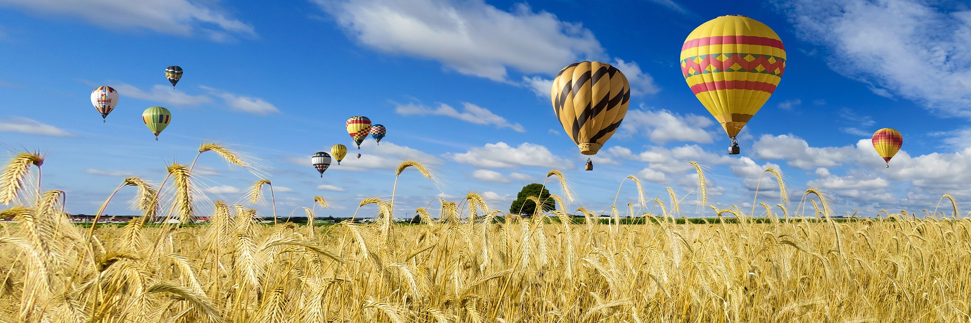 Wheat Balloons.jpg