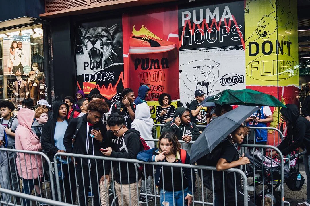 PUMA12.jpg