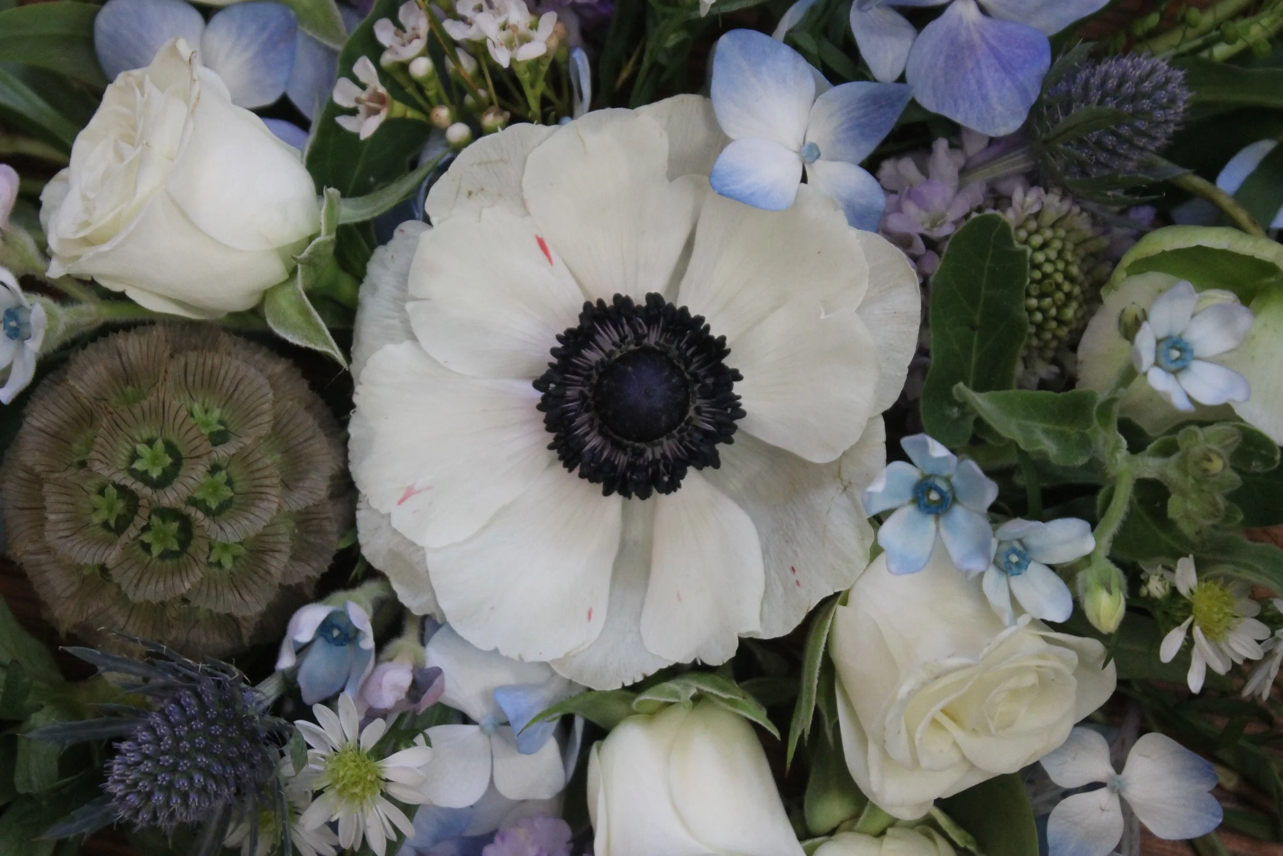 Designer's Choice Arrangement in Nantucket Seaside