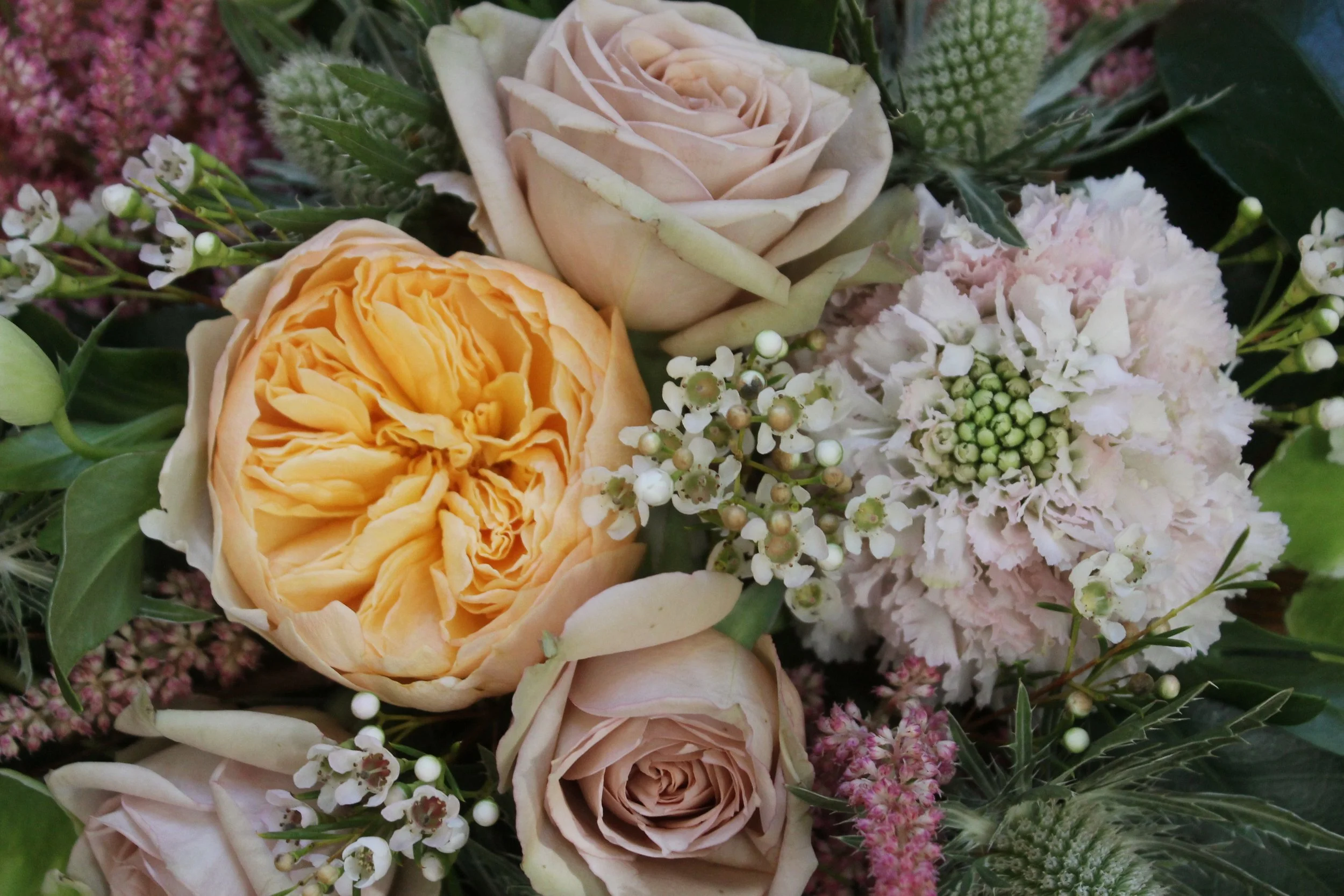 Designer's Choice Arrangement in Soft and Sweet