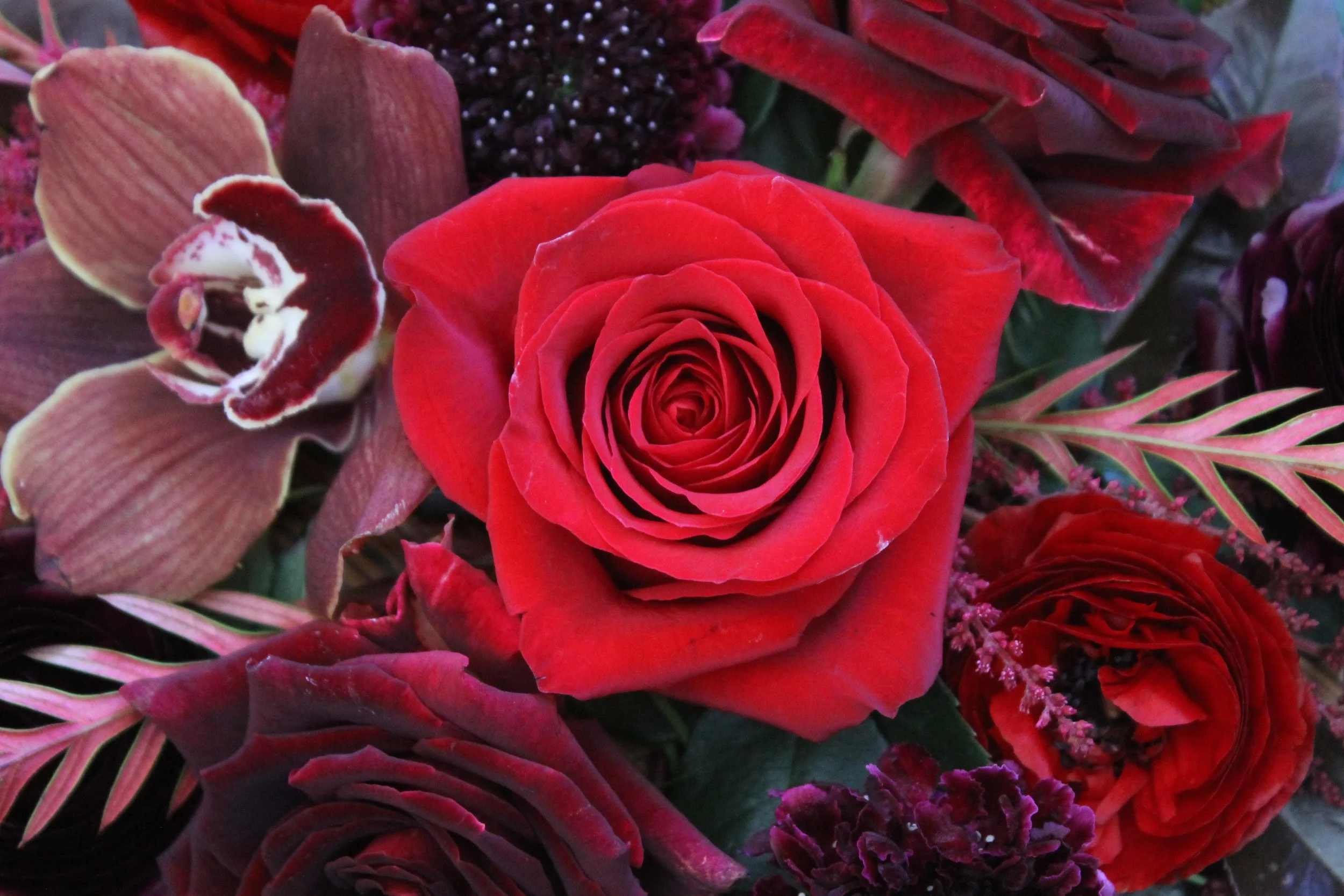 Designer's Choice Arrangement in Romance