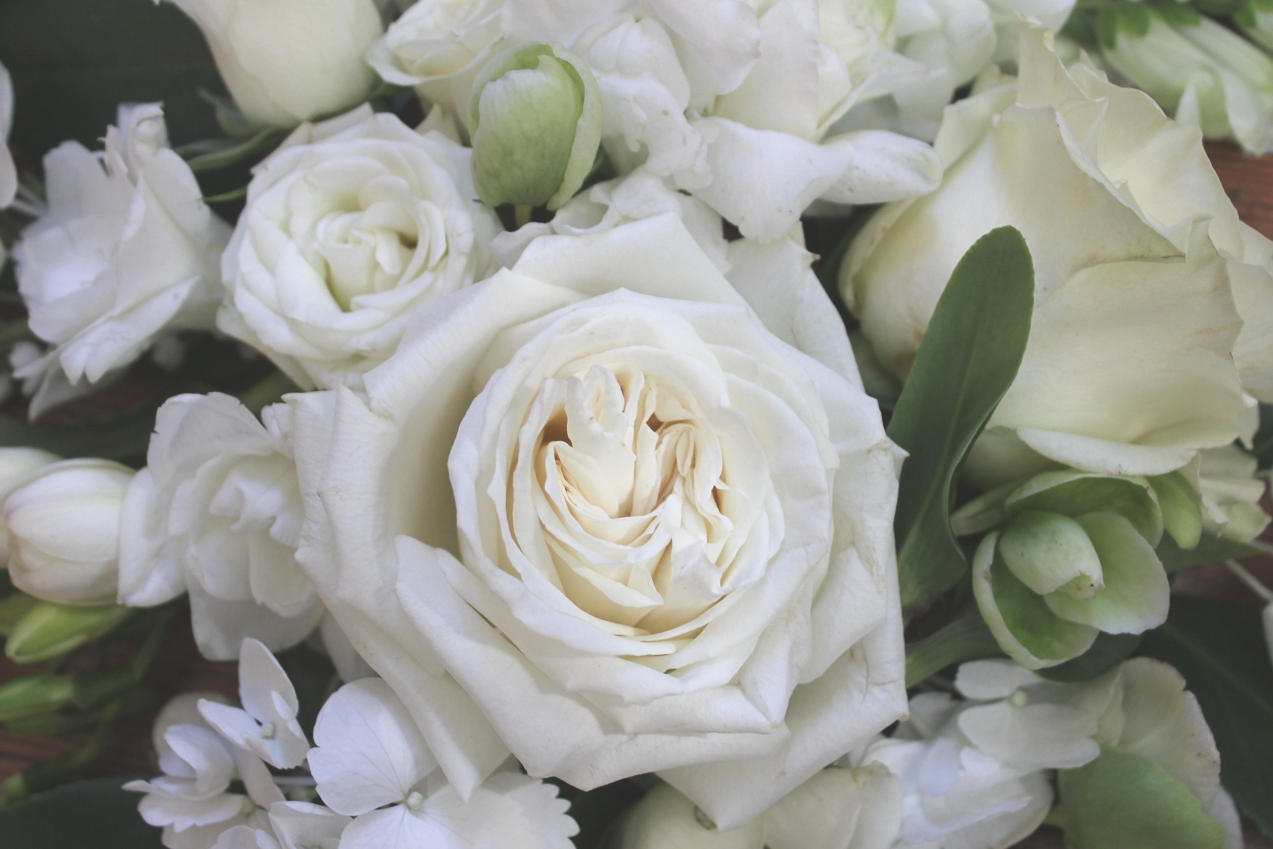 White+cluster.jpg
