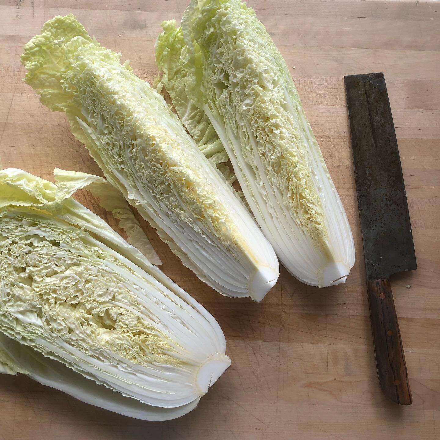 Kimchi season has arrived! Cubing up some of our beautiful napa cabbage to ferment and add to our farm stand offerings in a few weeks.