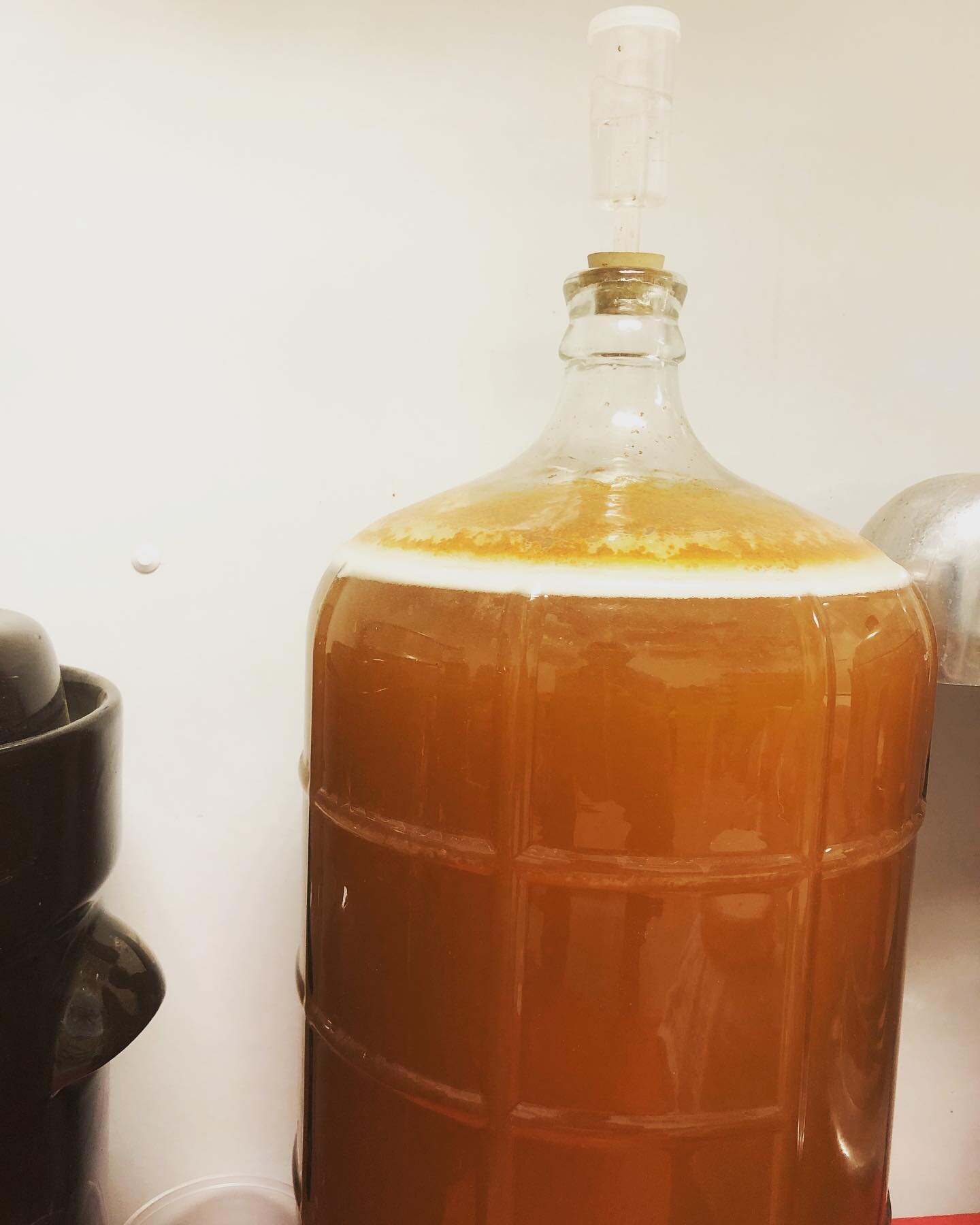 Turning last seasons apple cider into  honey wine. The cyser ferments for 6 weeks before reaching and aging for a year.