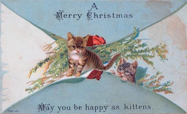 cat christmas card 2.jpg
