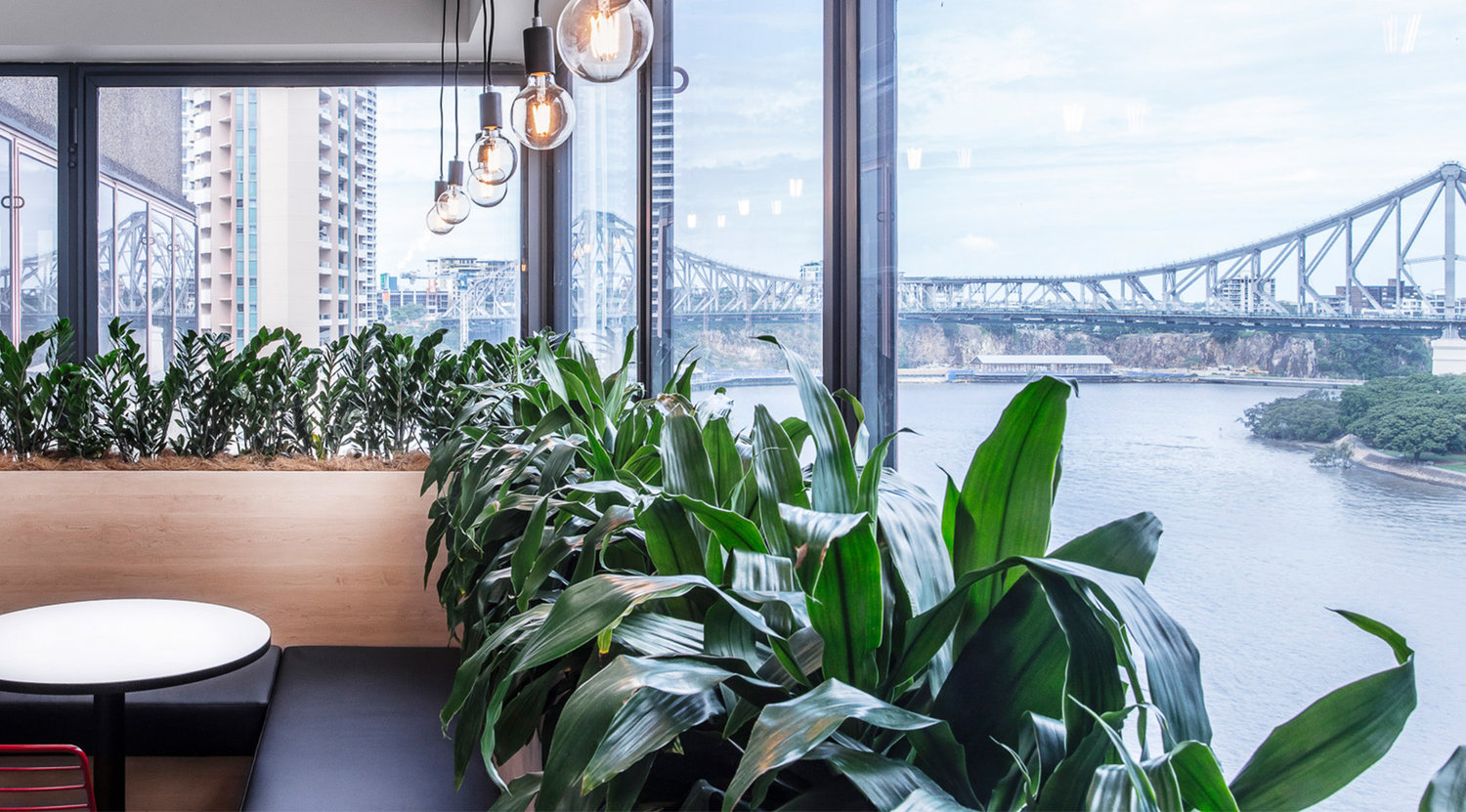 office-design-brisbane.jpeg