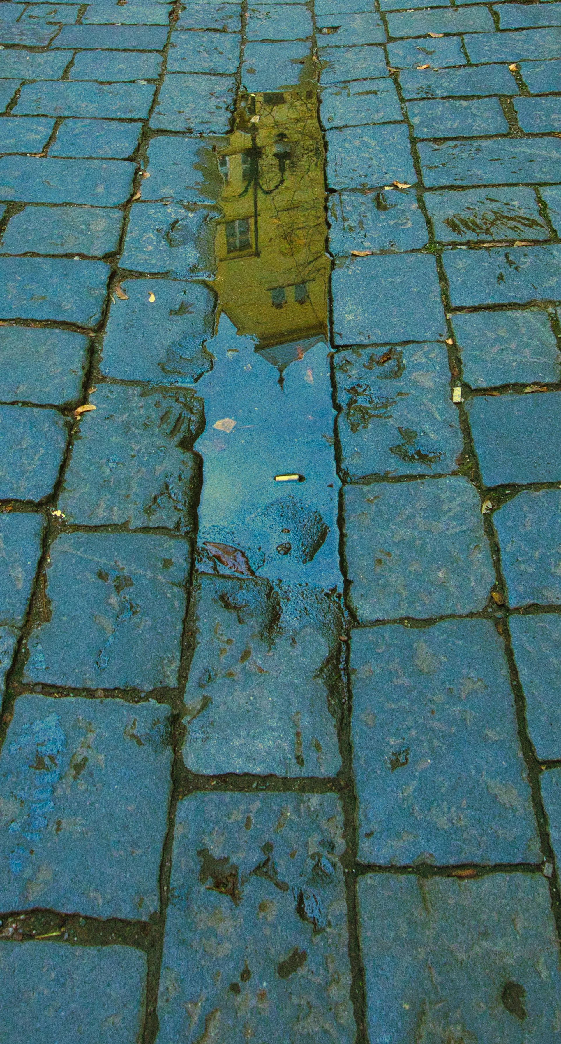 DSC00594.ARW_10.9_Prague.jpeg