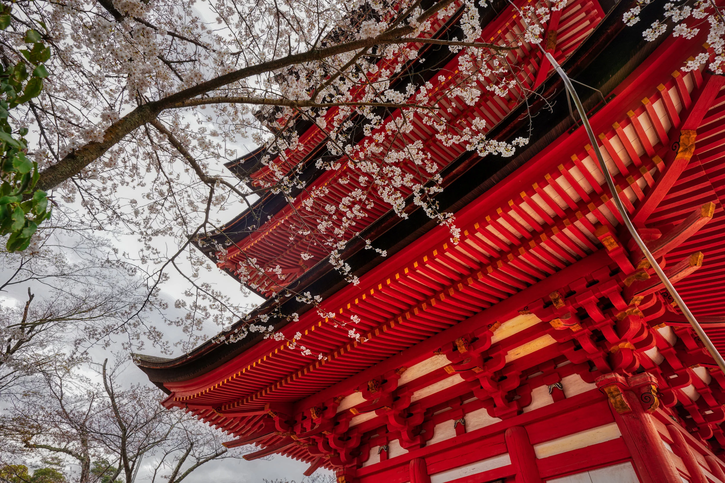Japan-3-30-19-1044.JPG