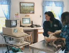 ultrasonography.jpg