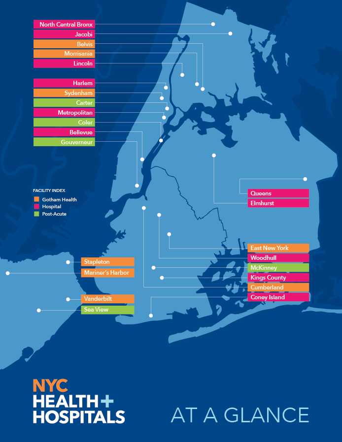 Dave Zackin NYC Health + Hospitals — zackindesign