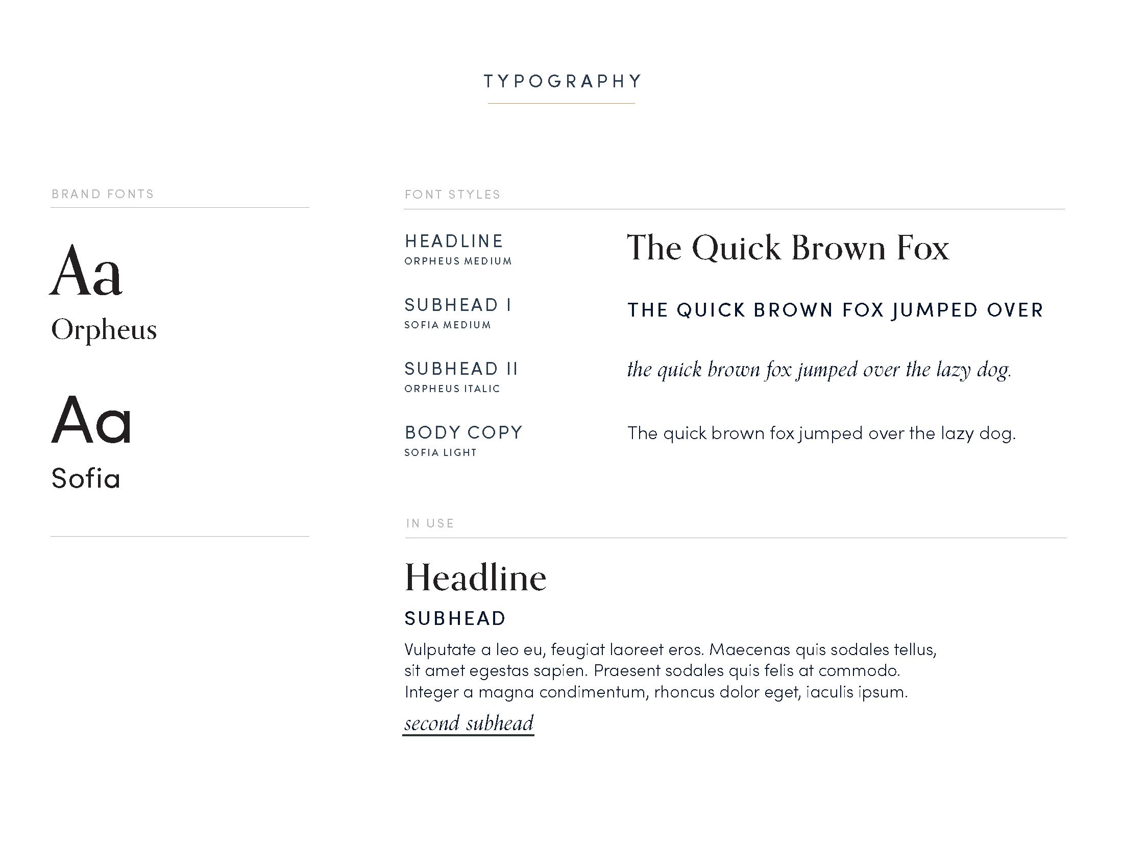 DD_BrandGuide__Page_11.jpg