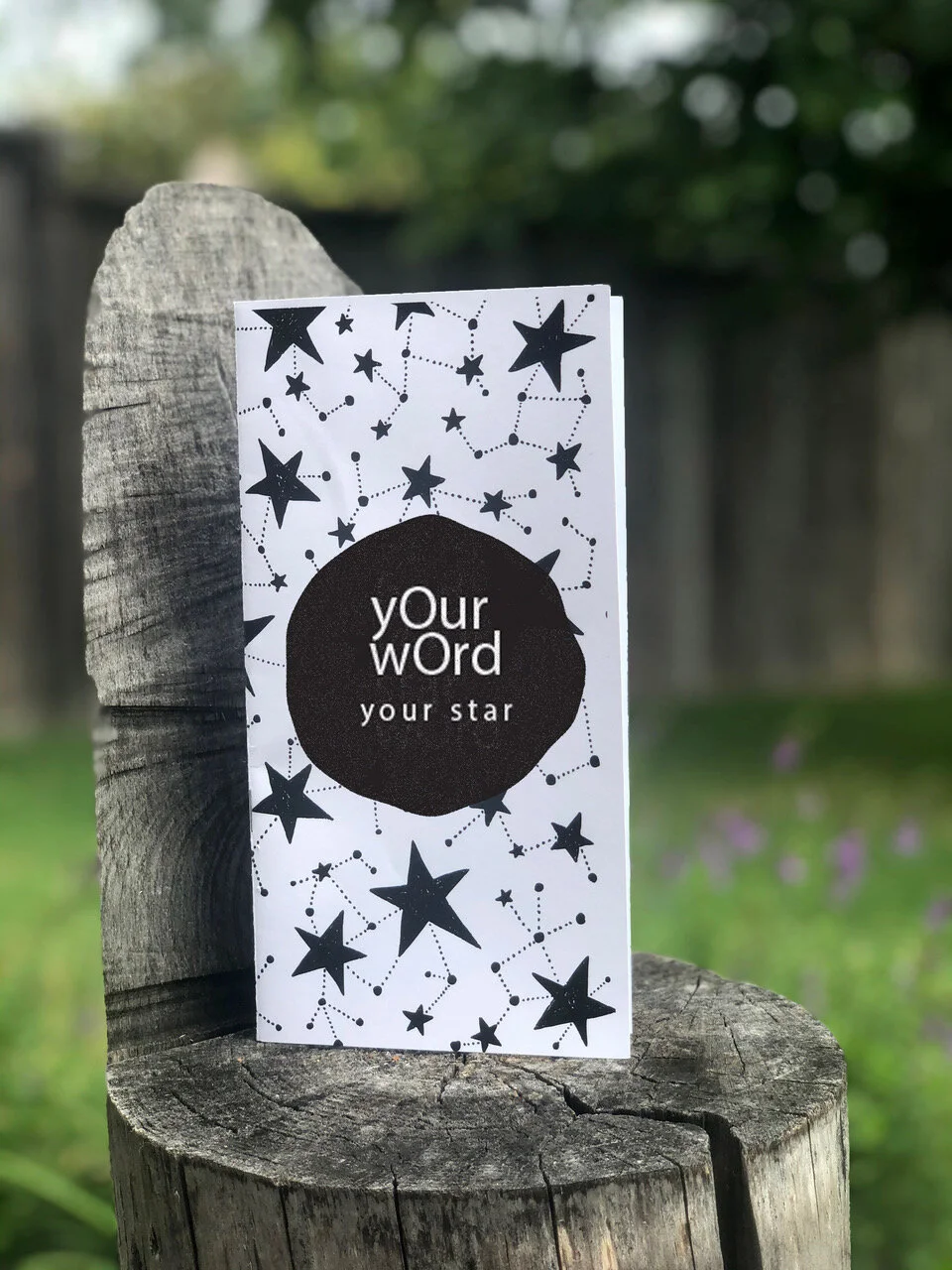 Word Star Cover.jpeg