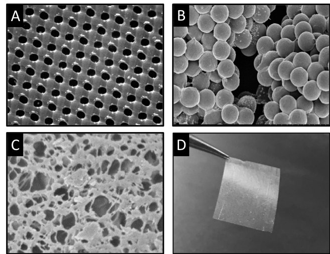 LayerForm drug coatings are highly conformal over various substrates: (A) Nylon mesh, (B) PLA microspheres, (C) Porous PLGA. LayerForm coatings are may be fabricated as freestanding films (D) .