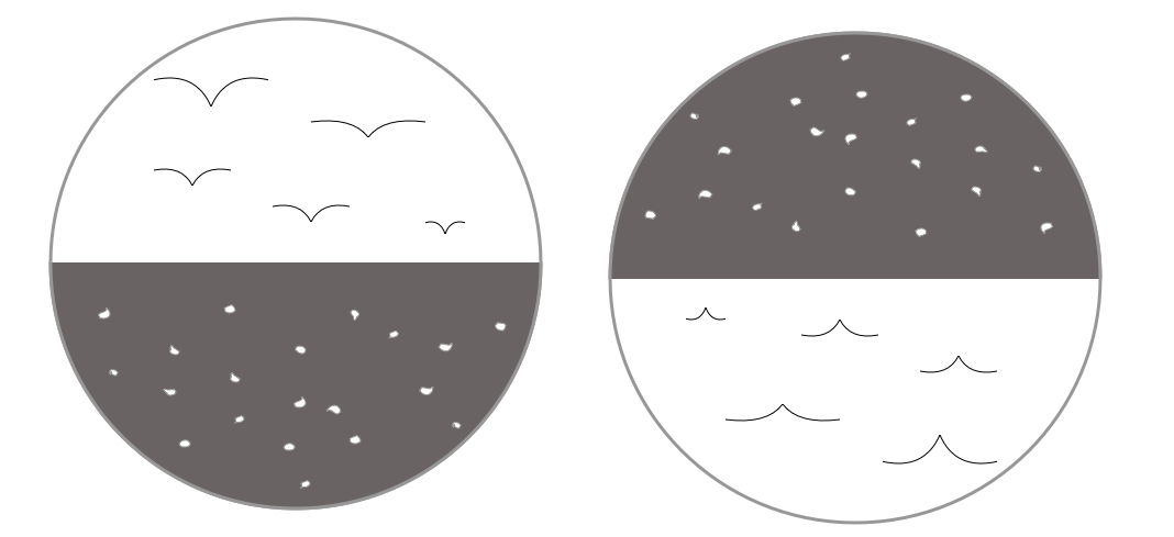 There are many compelling designs to be found