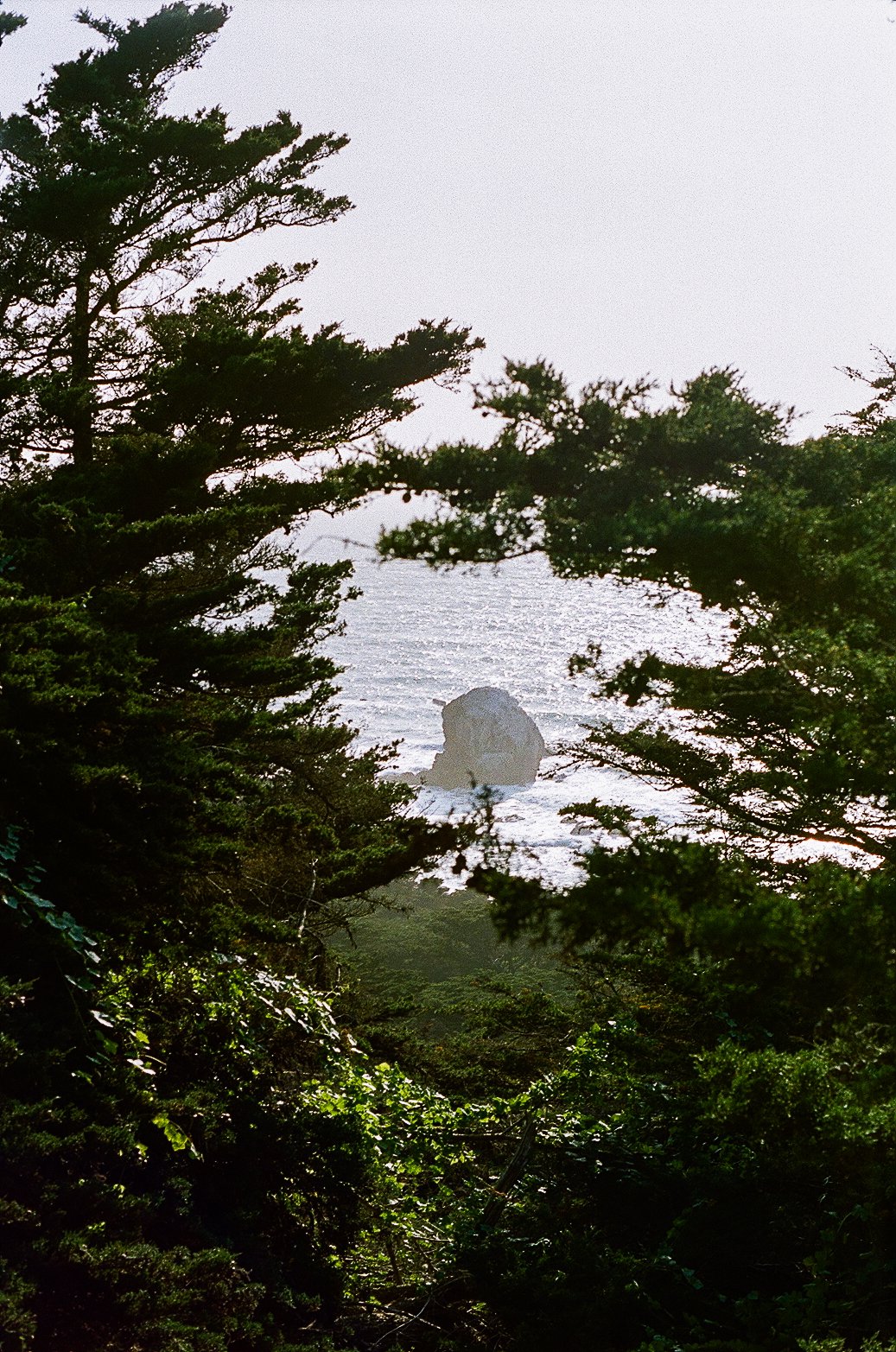 San Francisco, California 35mm