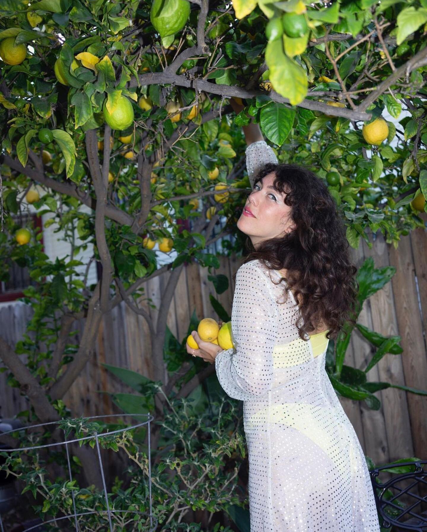 💛LILA💛
My beautiful citrus goddess, flaunting her curls and her lemons✨🍋