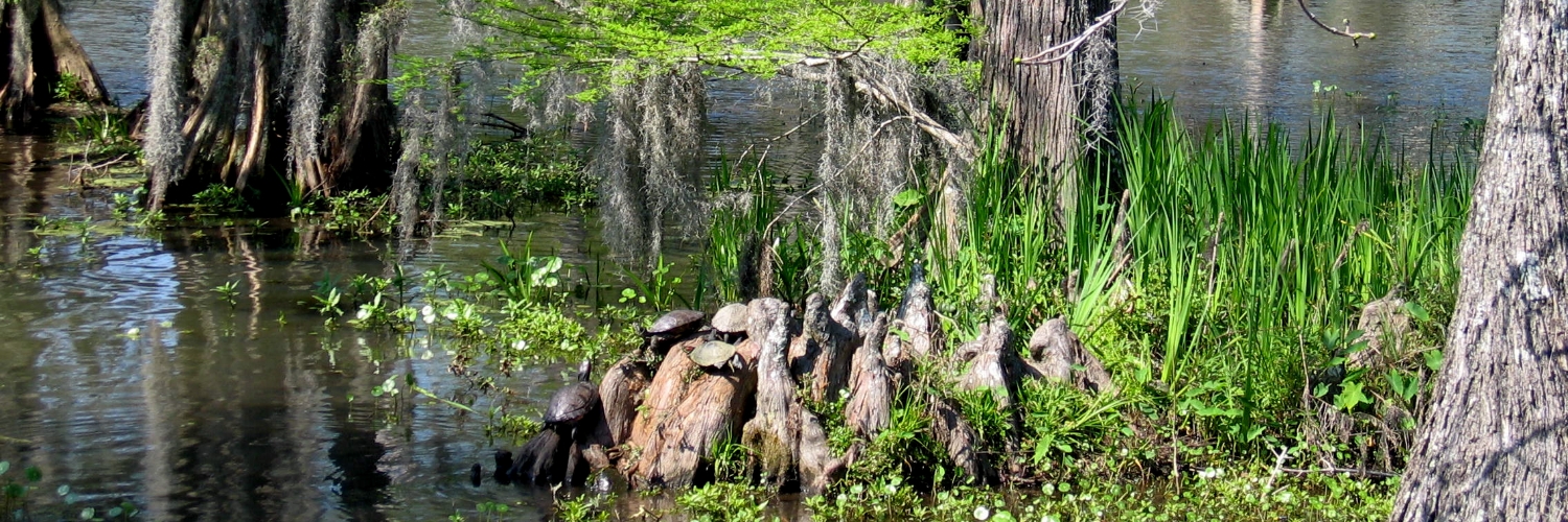 Gator presentation banner IMG_1484.JPG