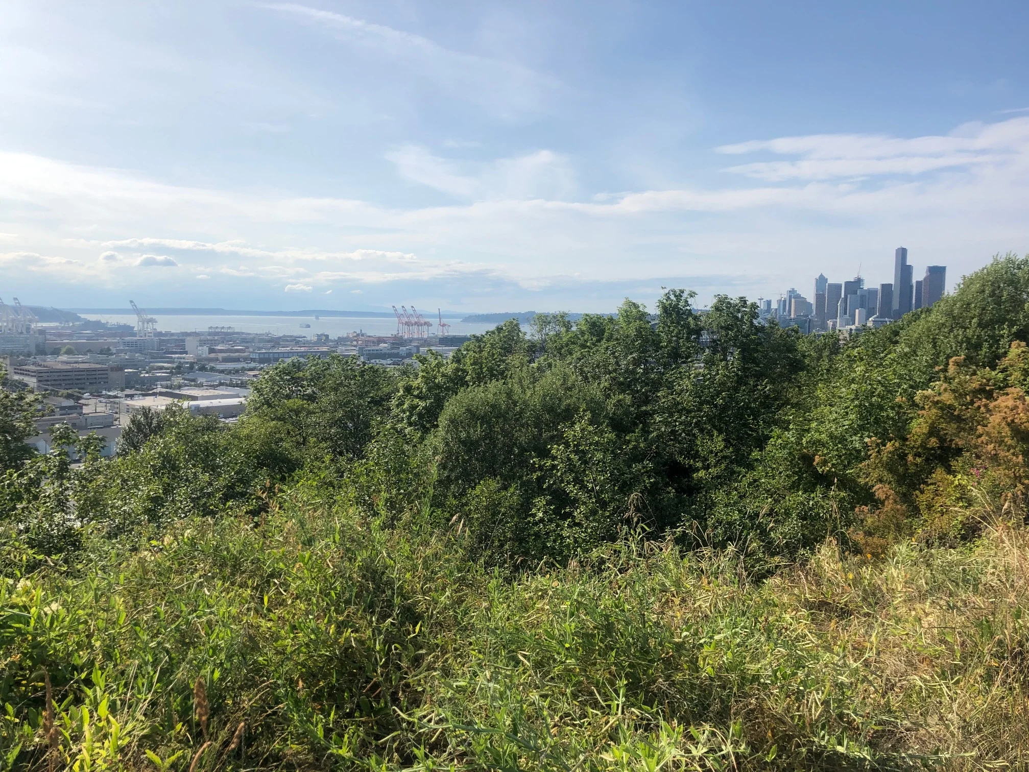 Beacon Hill View of Seattle skyline and Puget Sound
