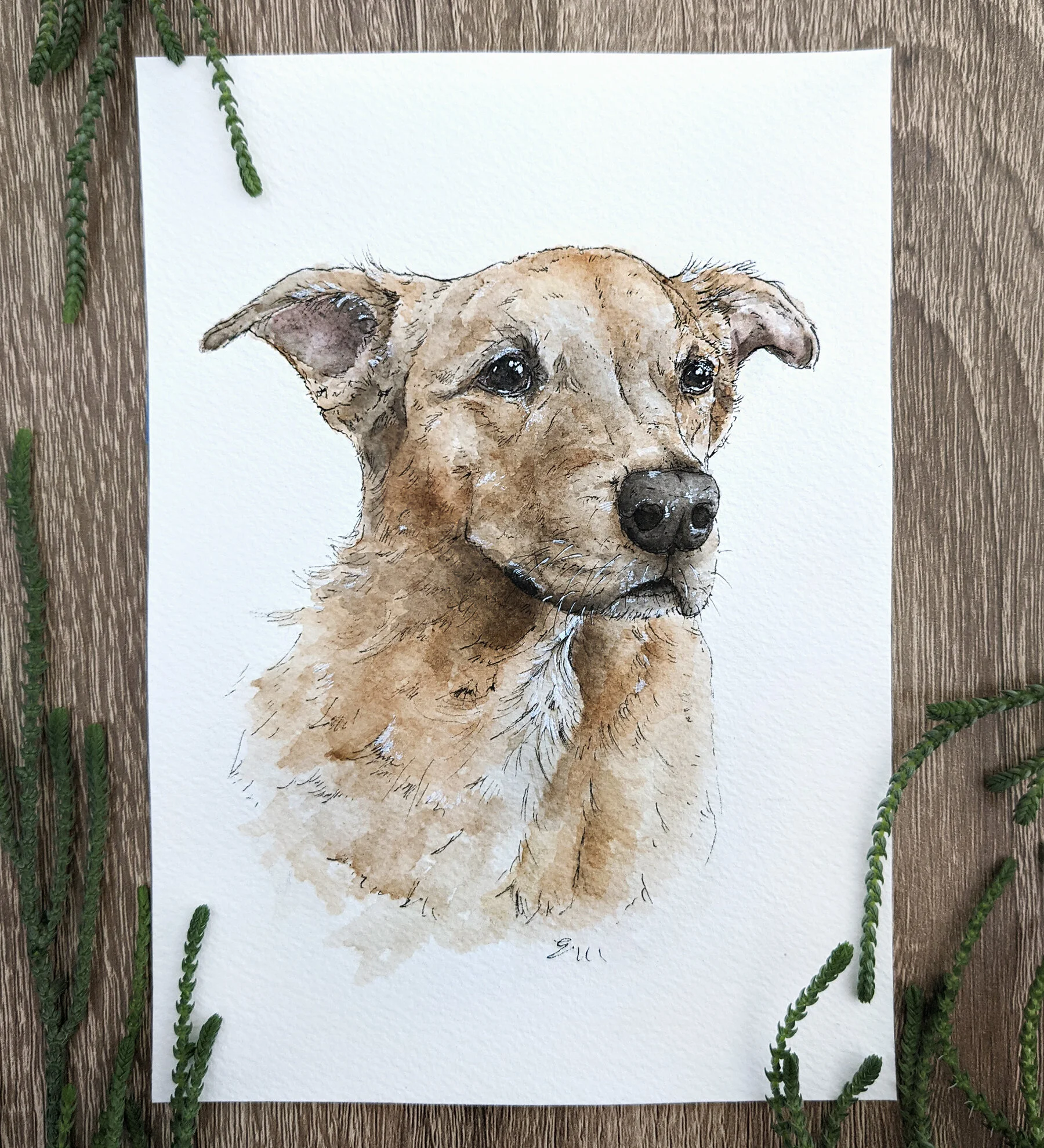 Skipper, 5x7", 2021