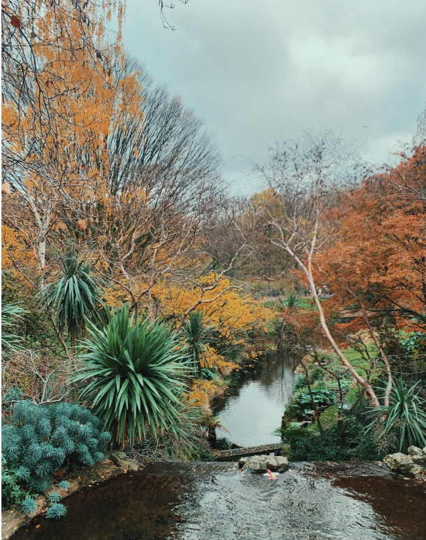 Screen Shot 2020-08-04 at 1.43.21 PM.png