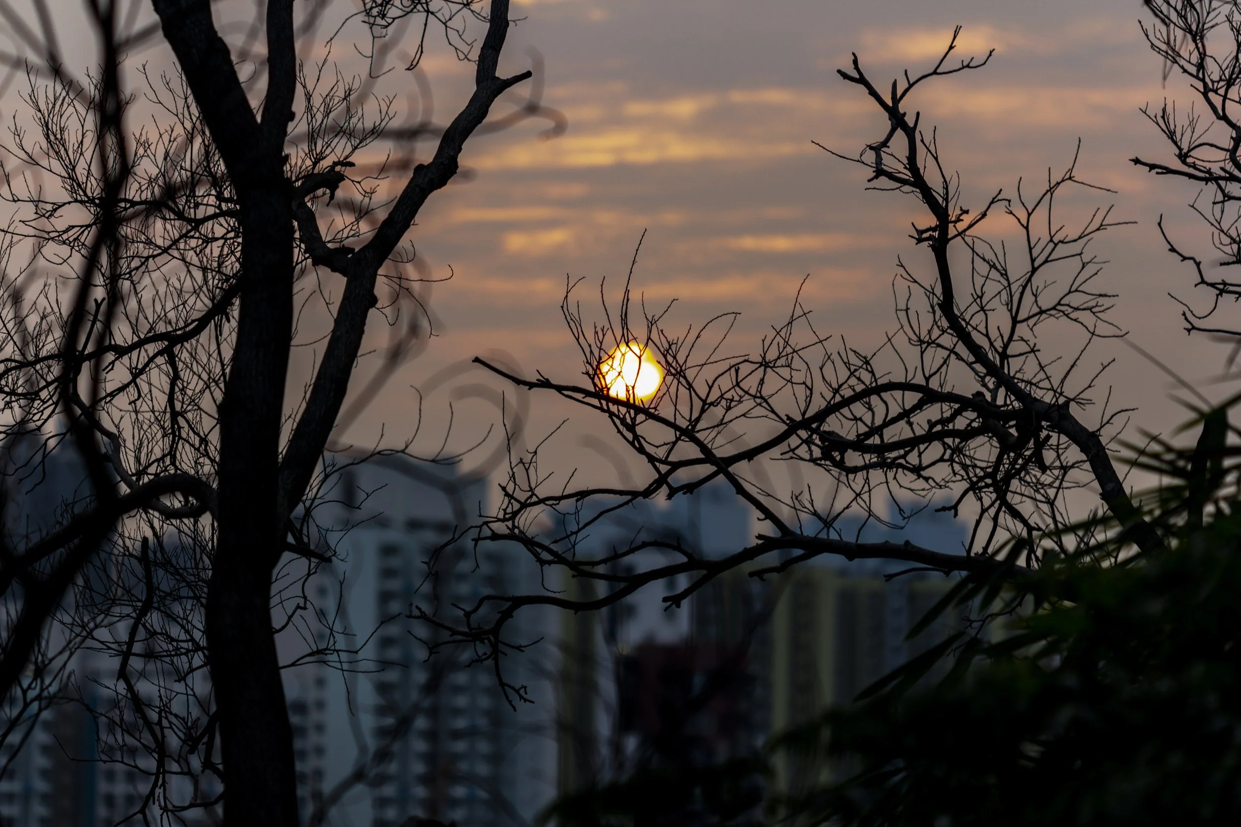 Slunawat_PHOT113_S19_P1-2.jpg