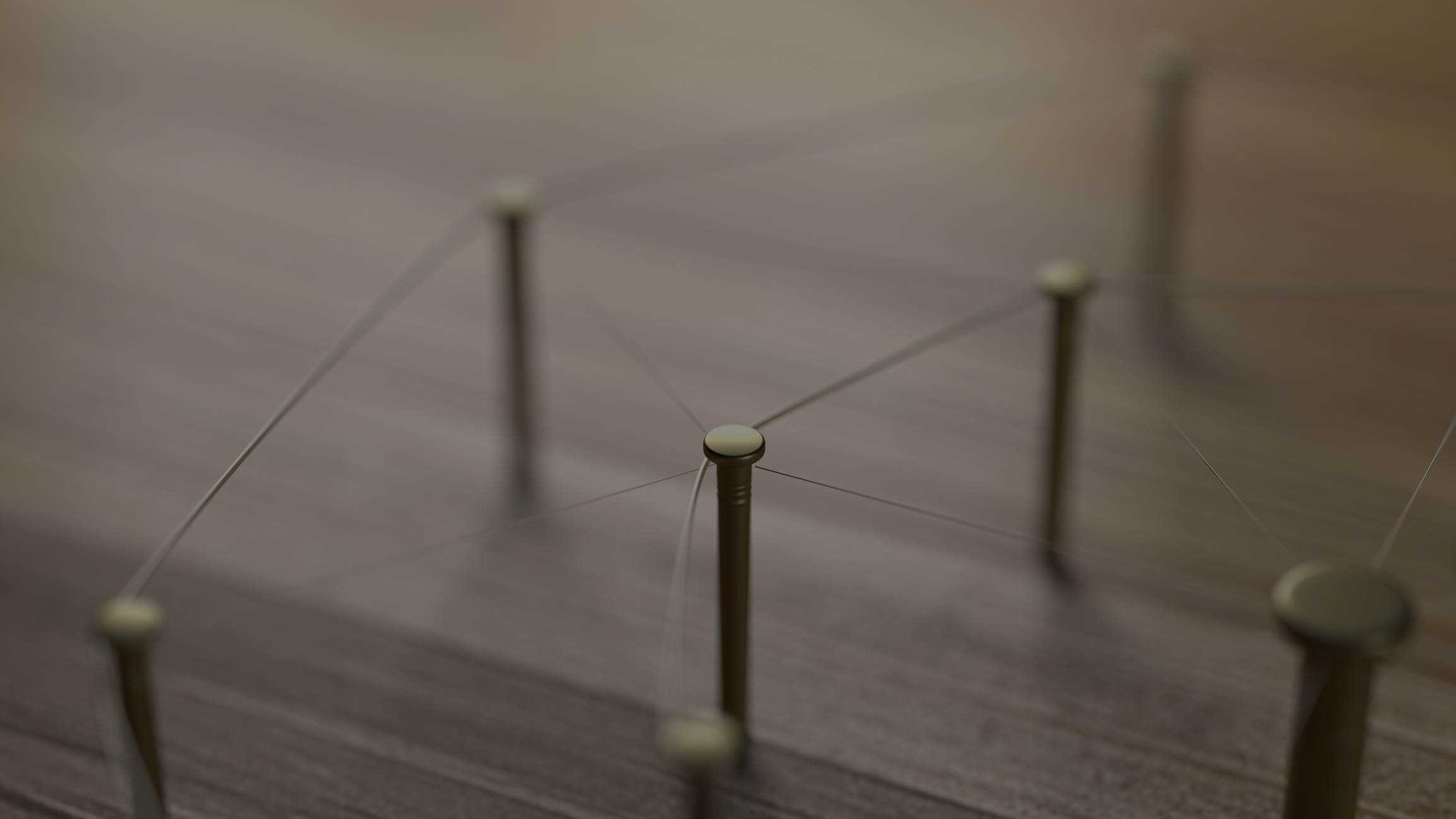 Sec. 1. Nail network.jpg