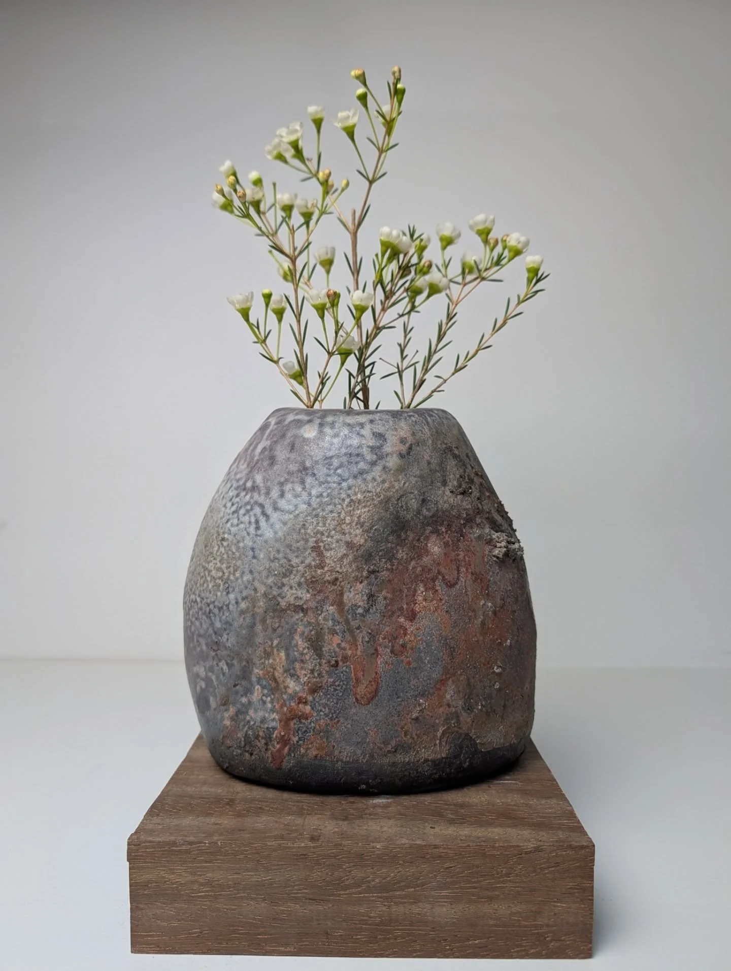 Blessed vase from last Septembers' train firing with @woodfire @nmn.nmnm @kei_tsu_fire @signekloeve.k and @anthonycpottery ! Stunning colors and action from the firebox on this one and I couldn't be happier with it! Swipe for all her moods ✨🌱
#woodf