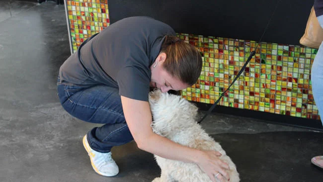 Paws and effect: Jill Showalter makes sure every dog has its day