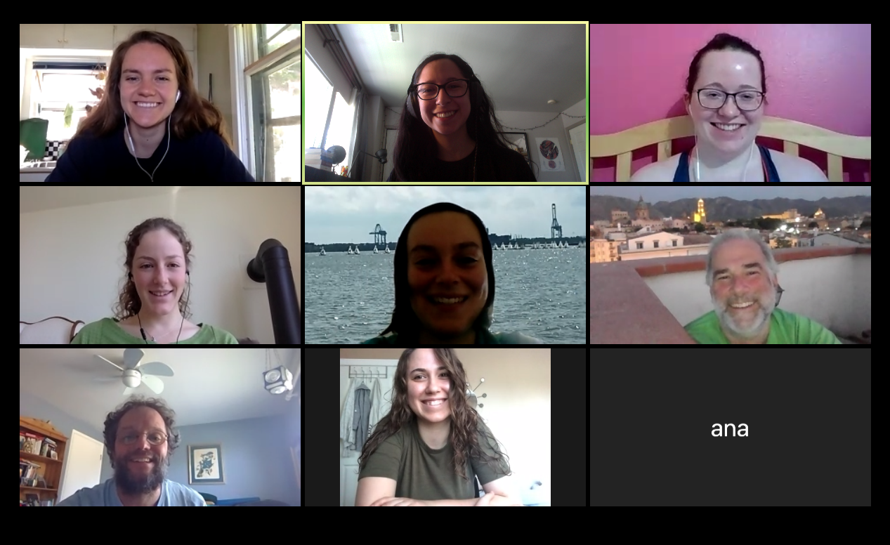 Near-Peer Mentoring in Computer Science and Mathematics