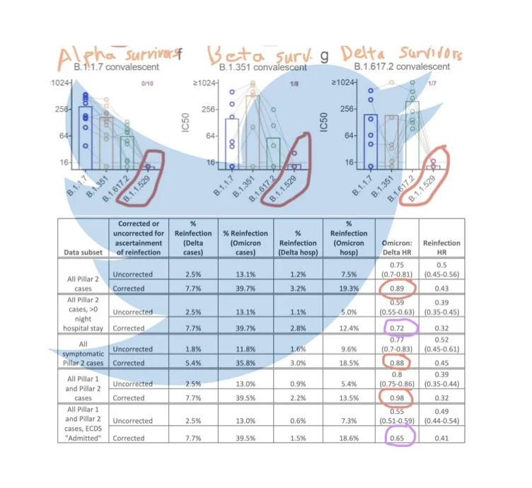 Lights, camera, brainstorm! –  Doing science in full view in a global pandemic