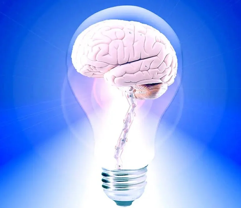 Understanding Mathematical Creativity