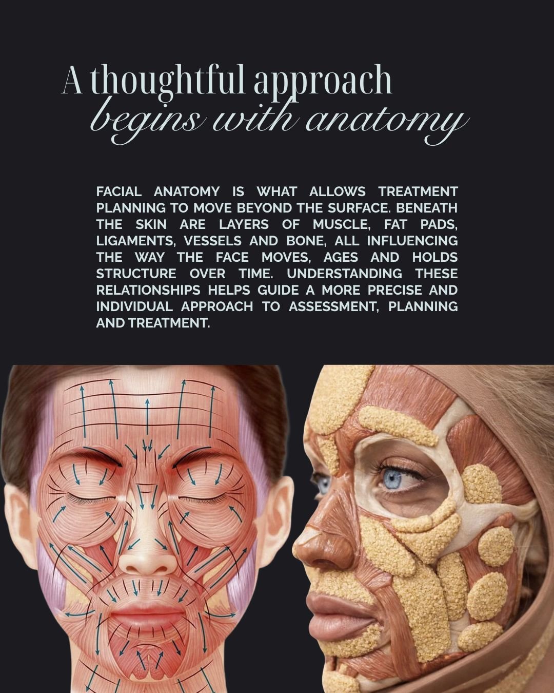 A thoughtful approach begins with anatomy.
ㅤ
At Dr. Glow, every clinical decision starts with a thorough understanding of what is happening beneath the surface. Facial anatomy is not just an academic exercise. It is the foundation of everything we do