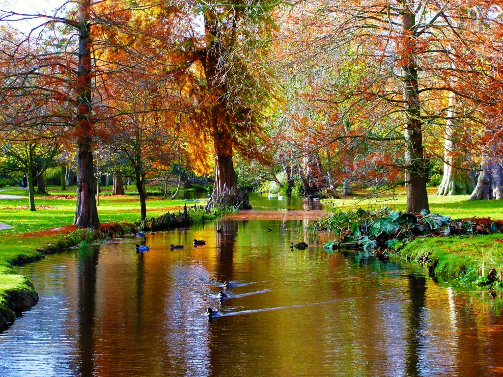 Bushy Park, UK