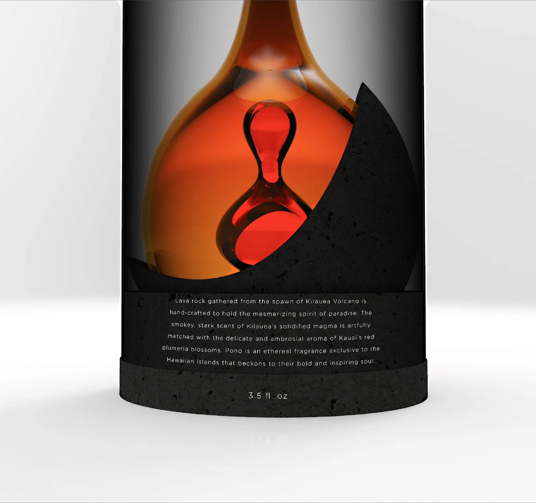 BackLabel2.jpg