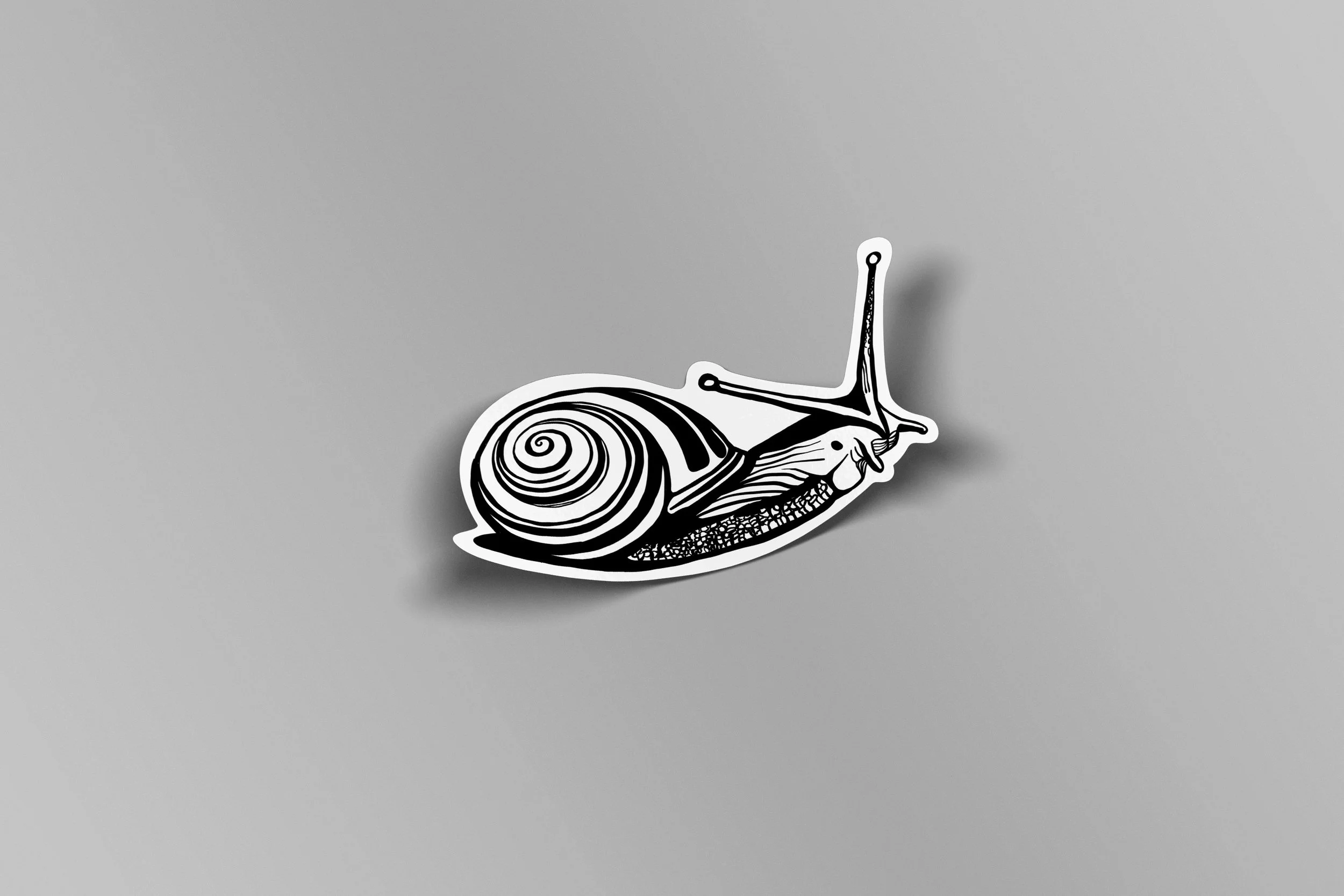 SnailSticker.jpg