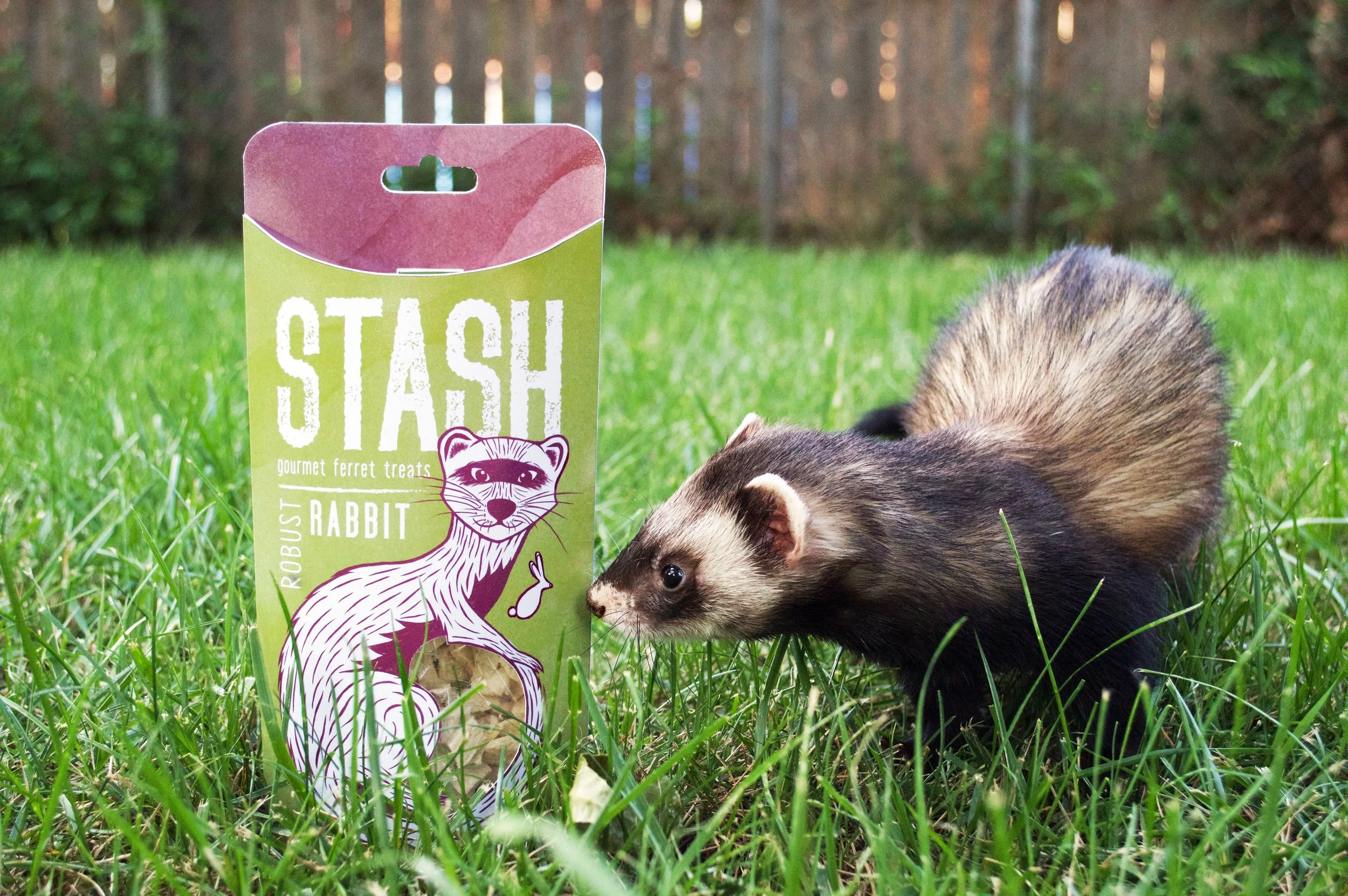 Stash7.jpg