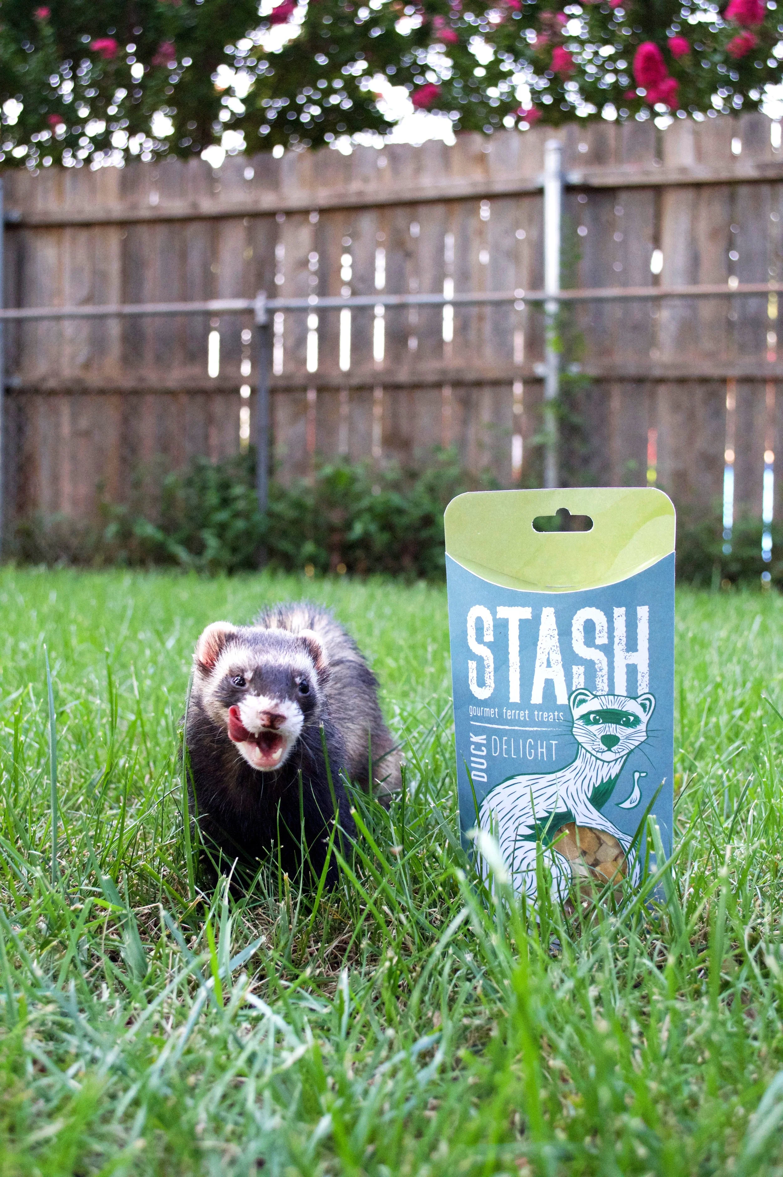 Stash5.jpg