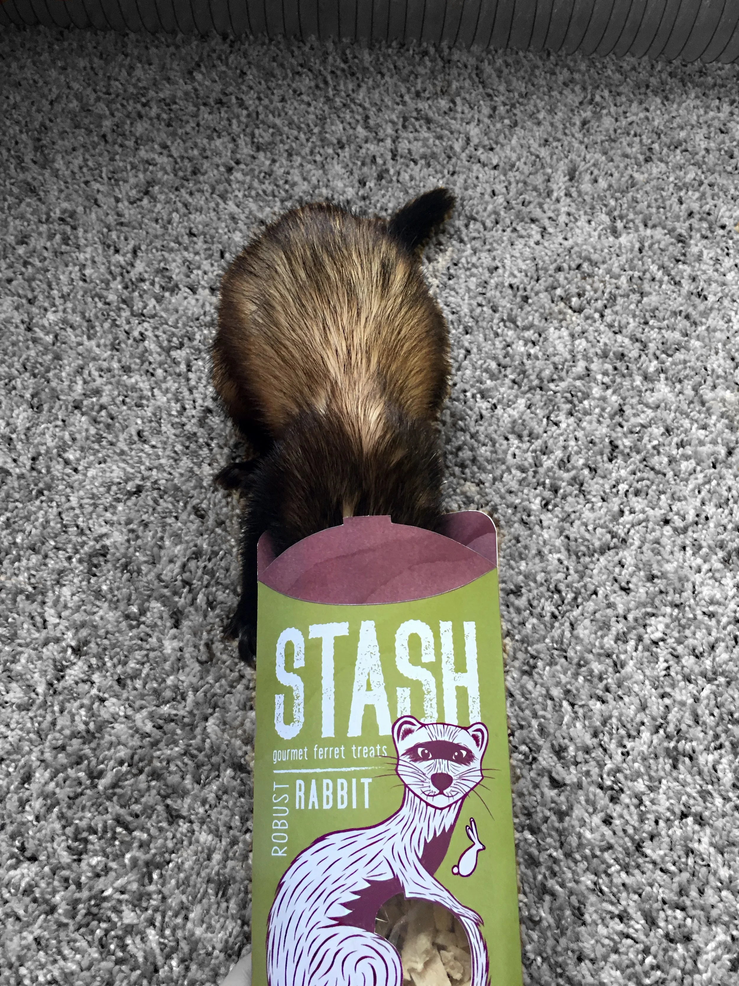 Stash18.jpg