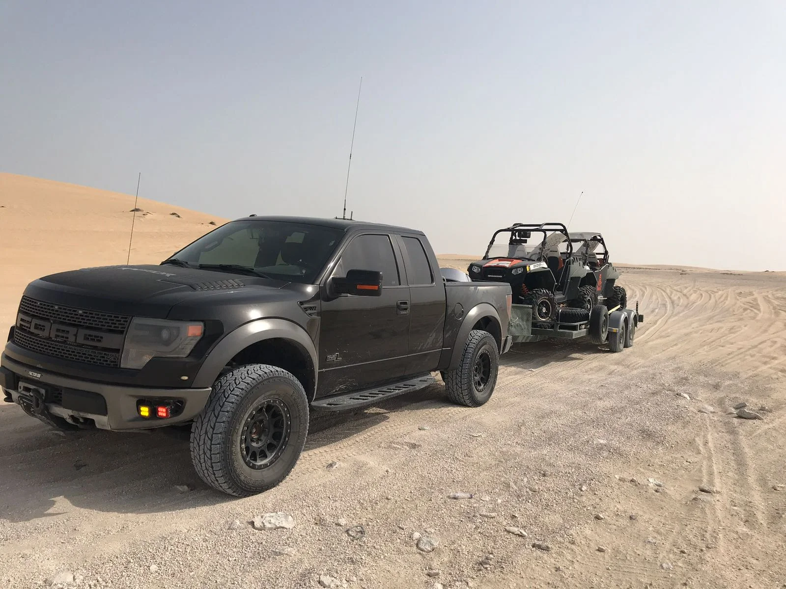 Ibrahim's Raptor