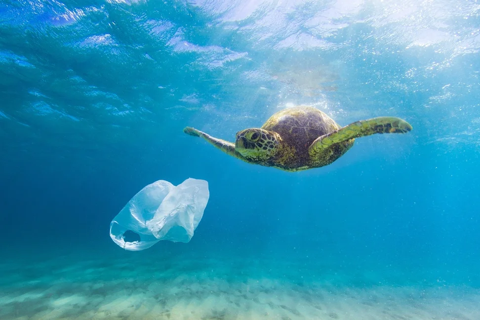 Source: Canadian Wildlife Federation