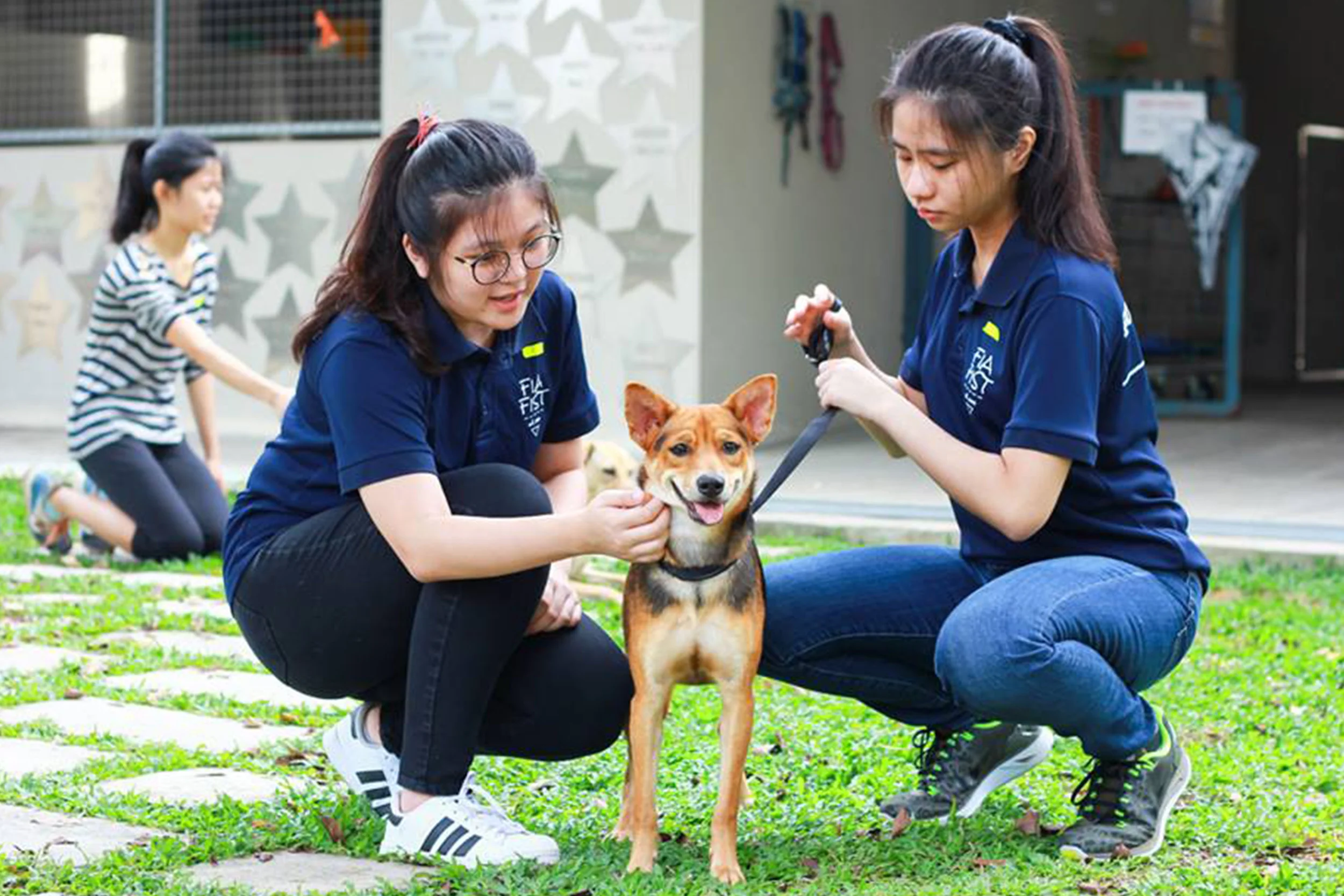 Source: SPCA