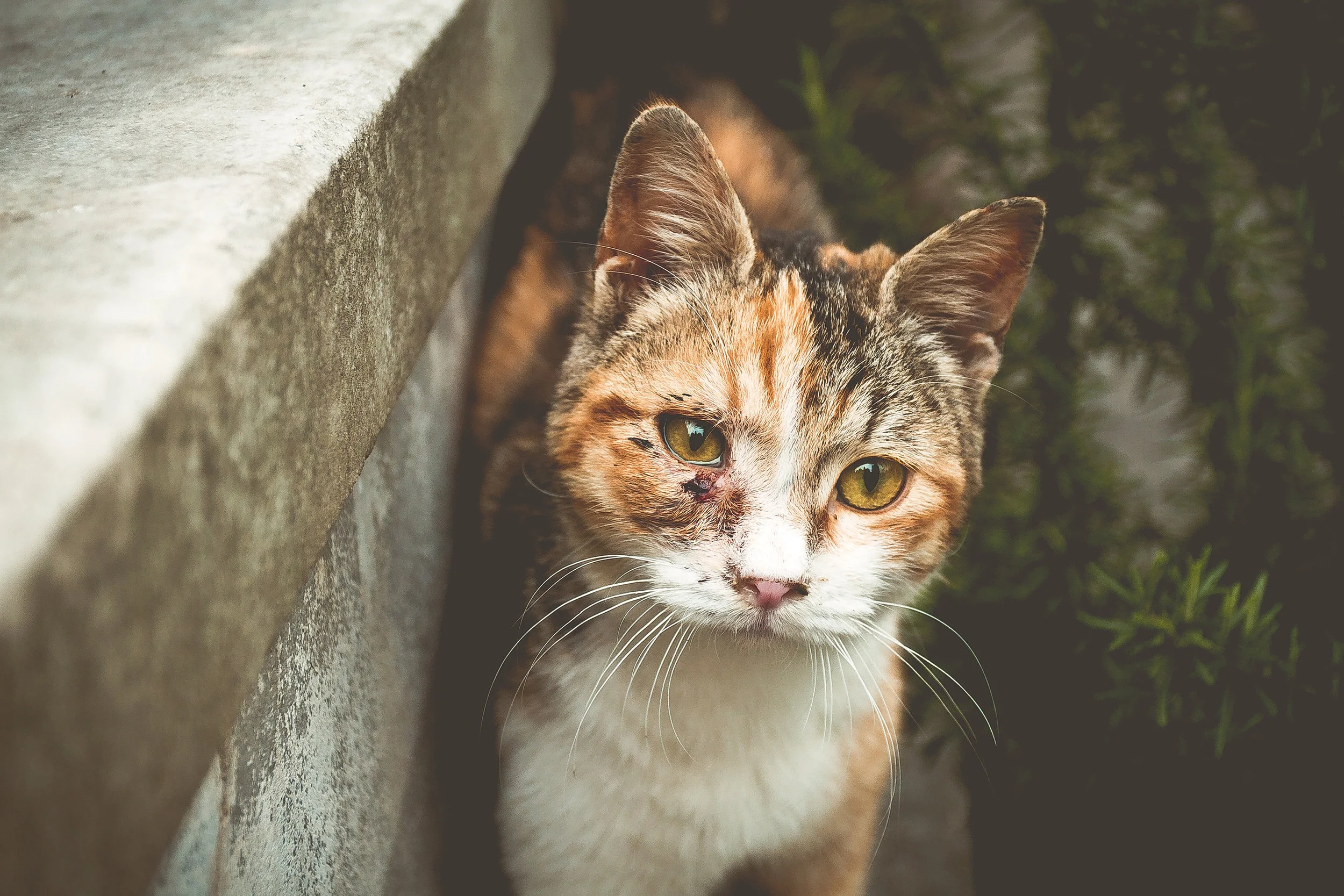 Source: Unsplash