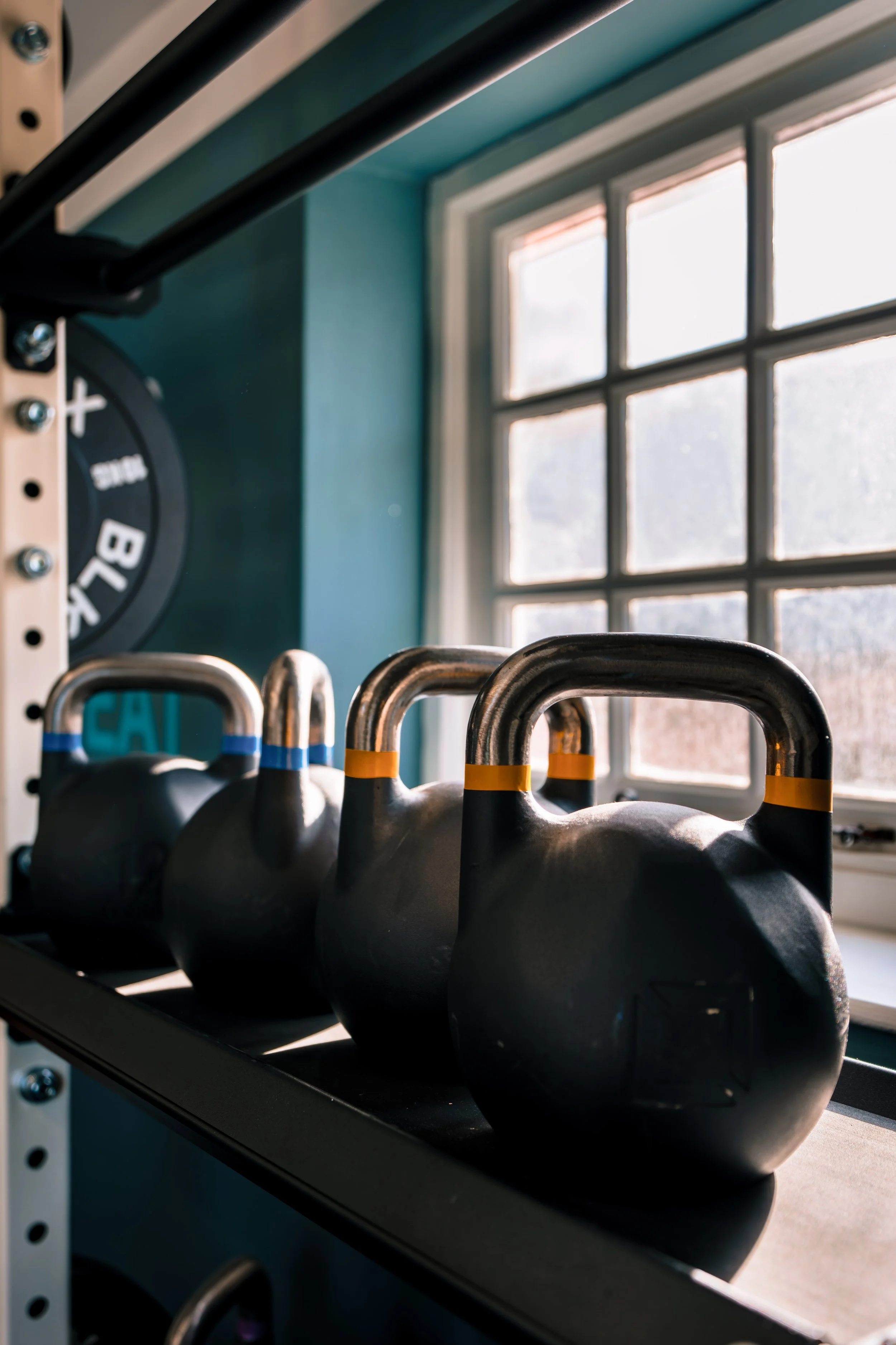 Kettlebells lined up on a shelf near a window in a gym.