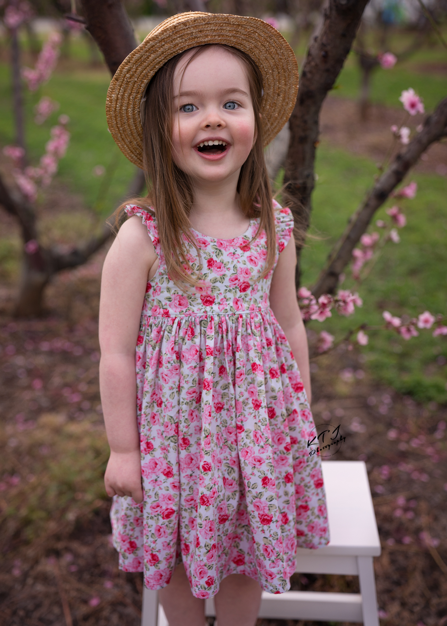 Blossom Photo