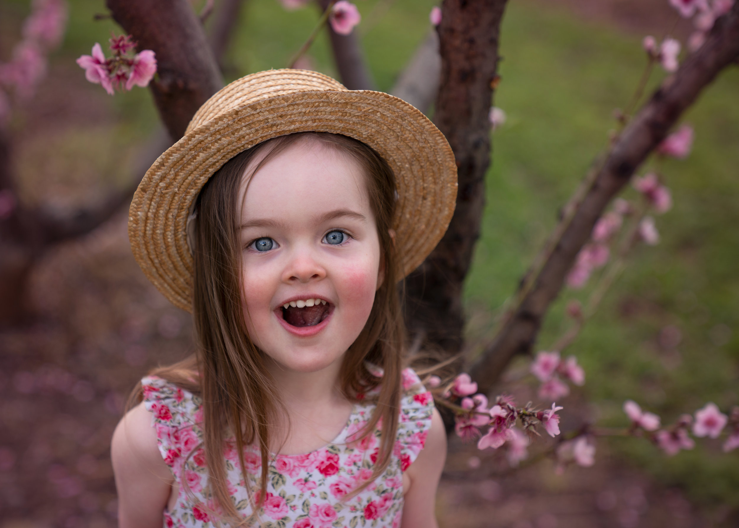 KTJ Photography 7.jpg