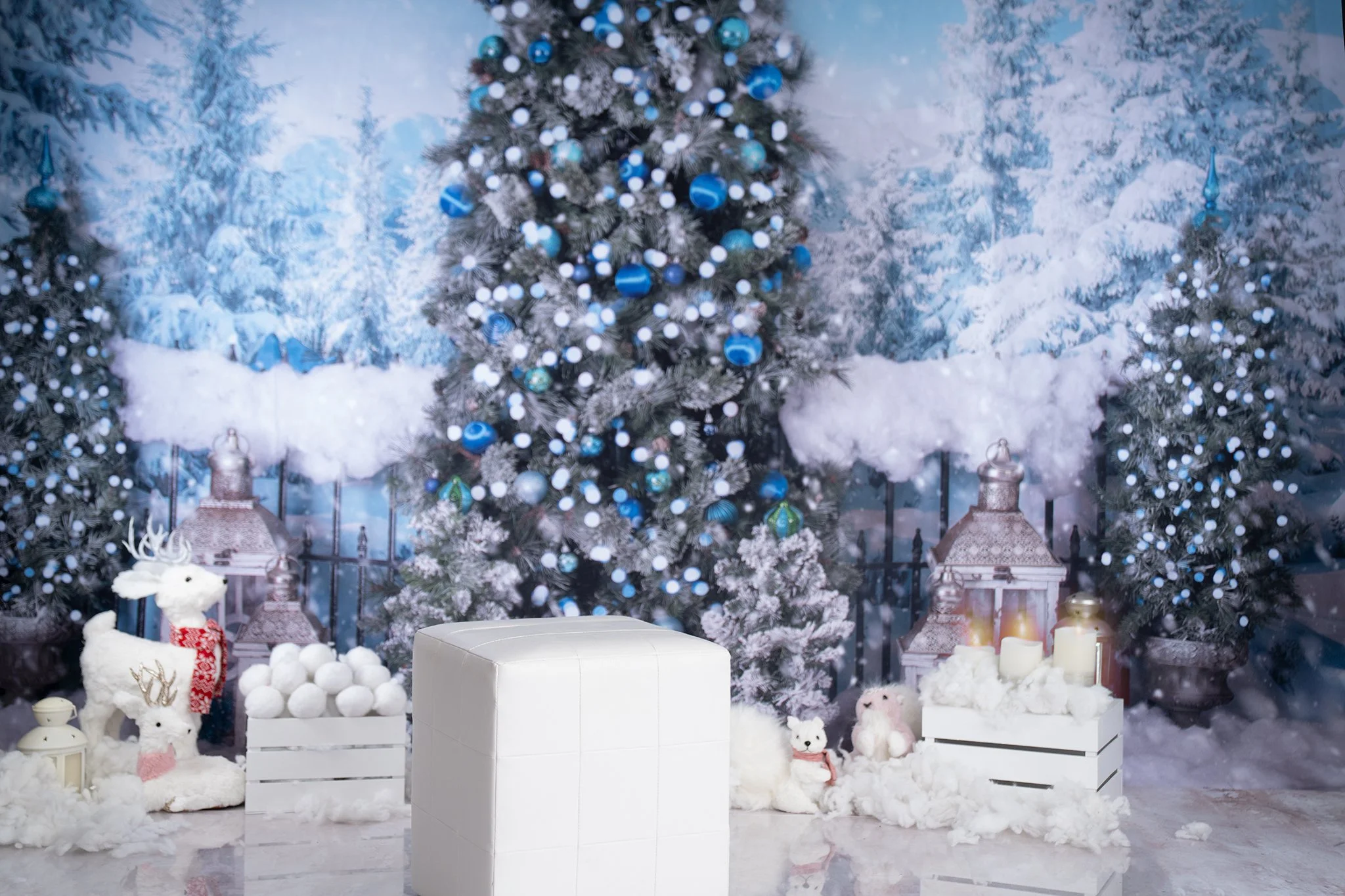 Perth Christmas Minis 2.jpg