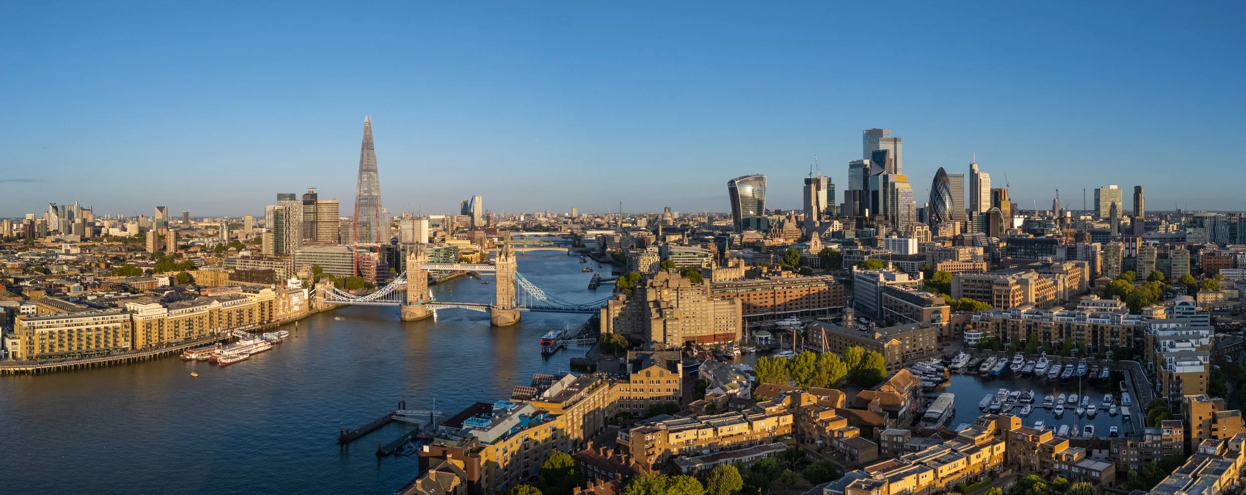 iStock-2292654354.jpg