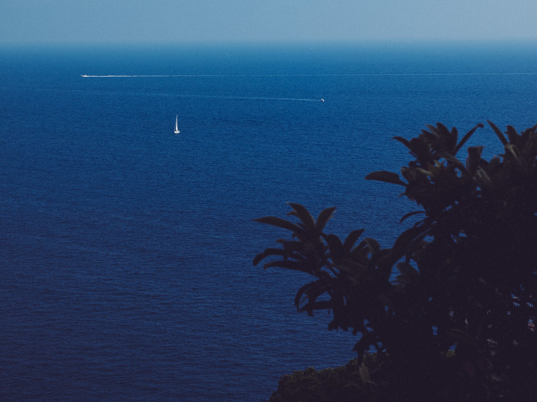 MMStudio_horizon.jpg